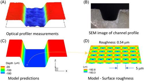 Optical penetration models for practical prediction of femtosecond laser ablation of dental hard tissue