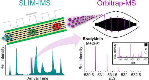 High-resolution ion mobility separations coupled to mass spectrometry: What's next?