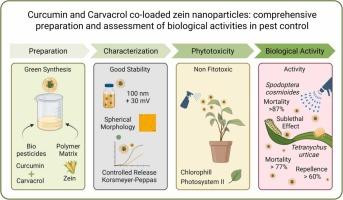 Curcumin and carvacrol co-loaded zein nanoparticles: Comprehensive preparation and assessment of biological activities in pest control