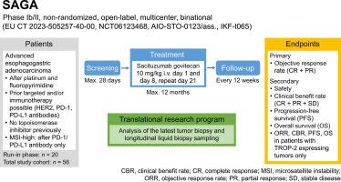 SAGA—a phase Ib/II single-arm, multicenter study of sacituzumab govitecan for patients with metastatic esophagogastric adenocarcinoma