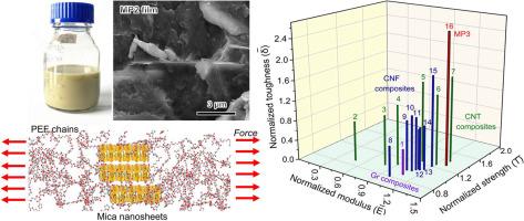 Large-Size ultrathin mica nanosheets: Reinforcements of biobased PEF polyester