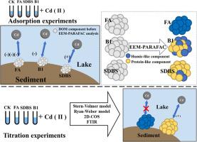 Humic-like components in dissolved organic matter inhibit cadmium sequestration by sediment