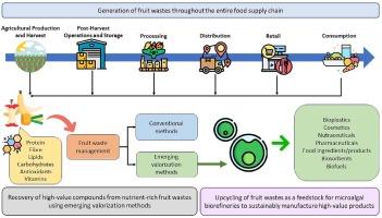 Upcycling fruit waste into microalgae biotechnology: Perspective views and way forward