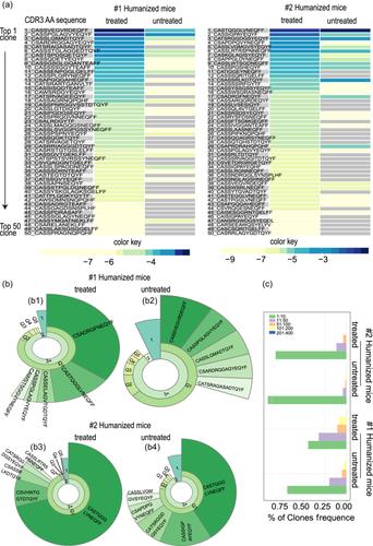 Establishment of a humanized mouse model using steady-state peripheral blood-derived hematopoietic stem and progenitor cells facilitates screening of cancer-targeted T-cell repertoires