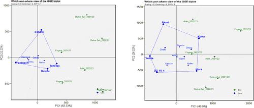 Genotype by Environment (G × E) Interaction and Yield Stability of Chickpea (Cicer arietinum L.) Varieties Across Agroecological Regions of Ethiopia