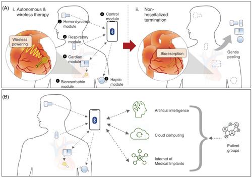 A biodegradable cardiac electrotherapy device paving the way for autonomous transient implants