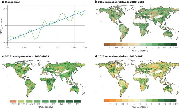 Vegetation greenness in 2023