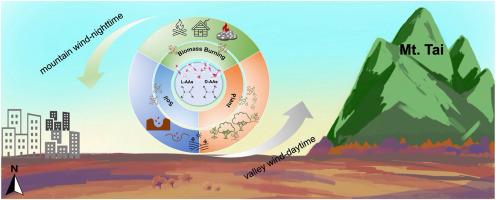 Molecular composition and sources of free amino acids in atmospheric aerosols from Mt. Tai and a nearby city
