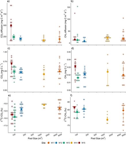 A Carbon Source in a Carbon Sink: Carbon Dioxide and Methane Dynamics in Open-Water Peatland Pools