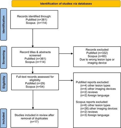 Line-field confocal optical coherence tomography in dermato-oncology: A literature review towards harmonized histopathology-integrated terminology