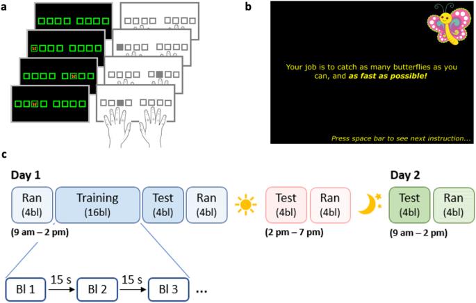 Children exhibit a developmental advantage in the offline processing of a learned motor sequence