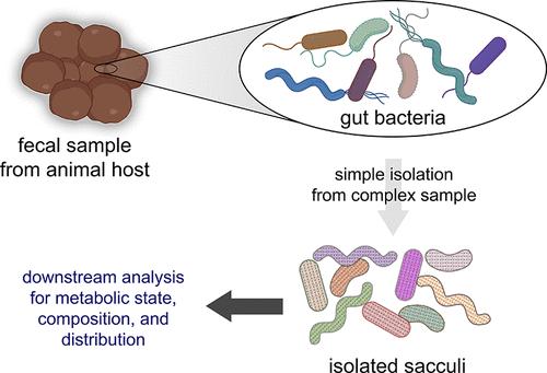 Noninvasive Analysis of Peptidoglycan from Living Animals