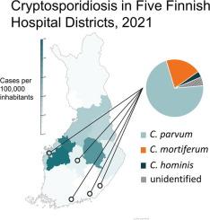 Molecular characteristics of Cryptosporidium spp. in human cases in five Finnish hospital districts during 2021: first findings of Cryptosporidium mortiferum (Cryptosporidium chipmunk genotype I) in Finland