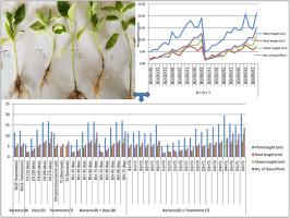 Plant-growth stimulating bacteria × environments/bio-formulations interactions on the growth-promoting activities of Serratia marcescens and Pseudomonas fluorescens on chili