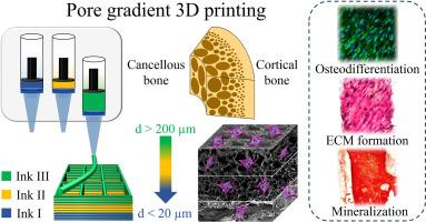 Design and characterization of 3D printed pore gradient hydrogel scaffold for bone tissue engineering