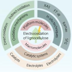 Recent advances in the electrocatalytic oxidative upgrading of lignocellulosic biomass