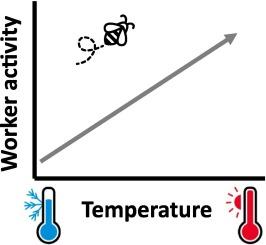 Increasing temperature and time in glasshouses increases honey bee activity and affects internal brood conditions