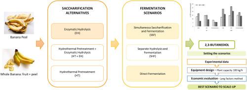 Bio-2,3-butanediol production from banana waste: Preliminary techno-economic evaluation of processing strategies