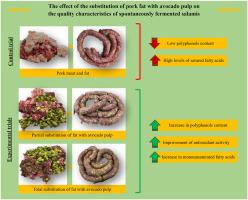 Microbial dynamics and quality characteristics of spontaneously fermented salamis produced by replacing pork fat with avocado pulp