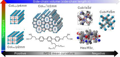 Reticular liquid crystal design: Controlling complex self-assembly of p-terphenyl rods by side-chain engineering and chirality