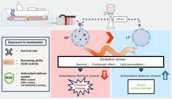 Exposure to hull cleaning wastewater induces mortality through oxidative stress and cholinergic disturbance in the marine polychaete Perinereis aibuhitensis