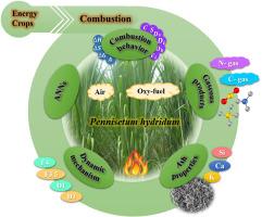 Second-generation bioenergy to decouple fossil fuel dependency and environmental deterioration: Dynamic and optimal mechanisms and gas-to-ash products of combustion of Pennisetum hydridum