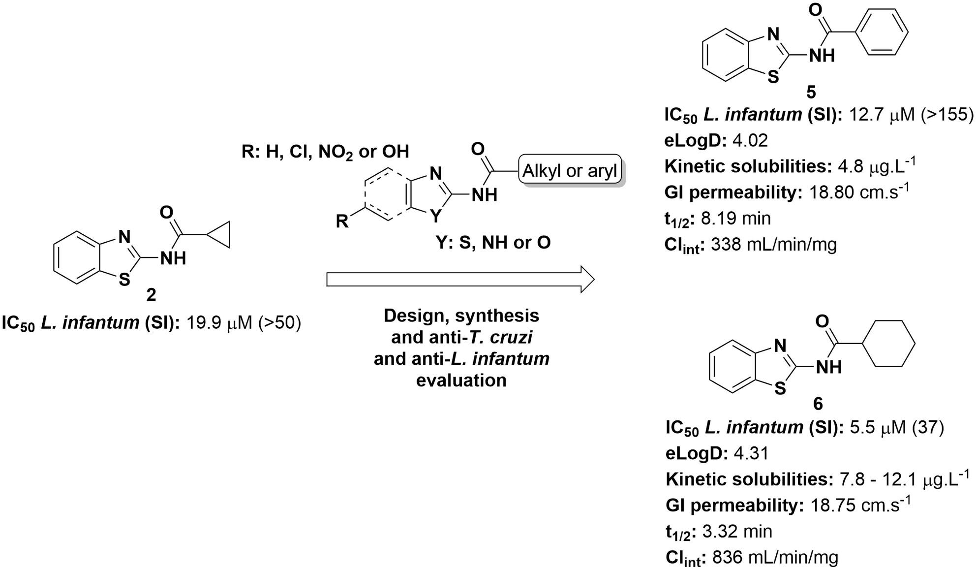 Evaluation and discovery of novel benzothiazole derivatives as promising hits against Leishmania infantum