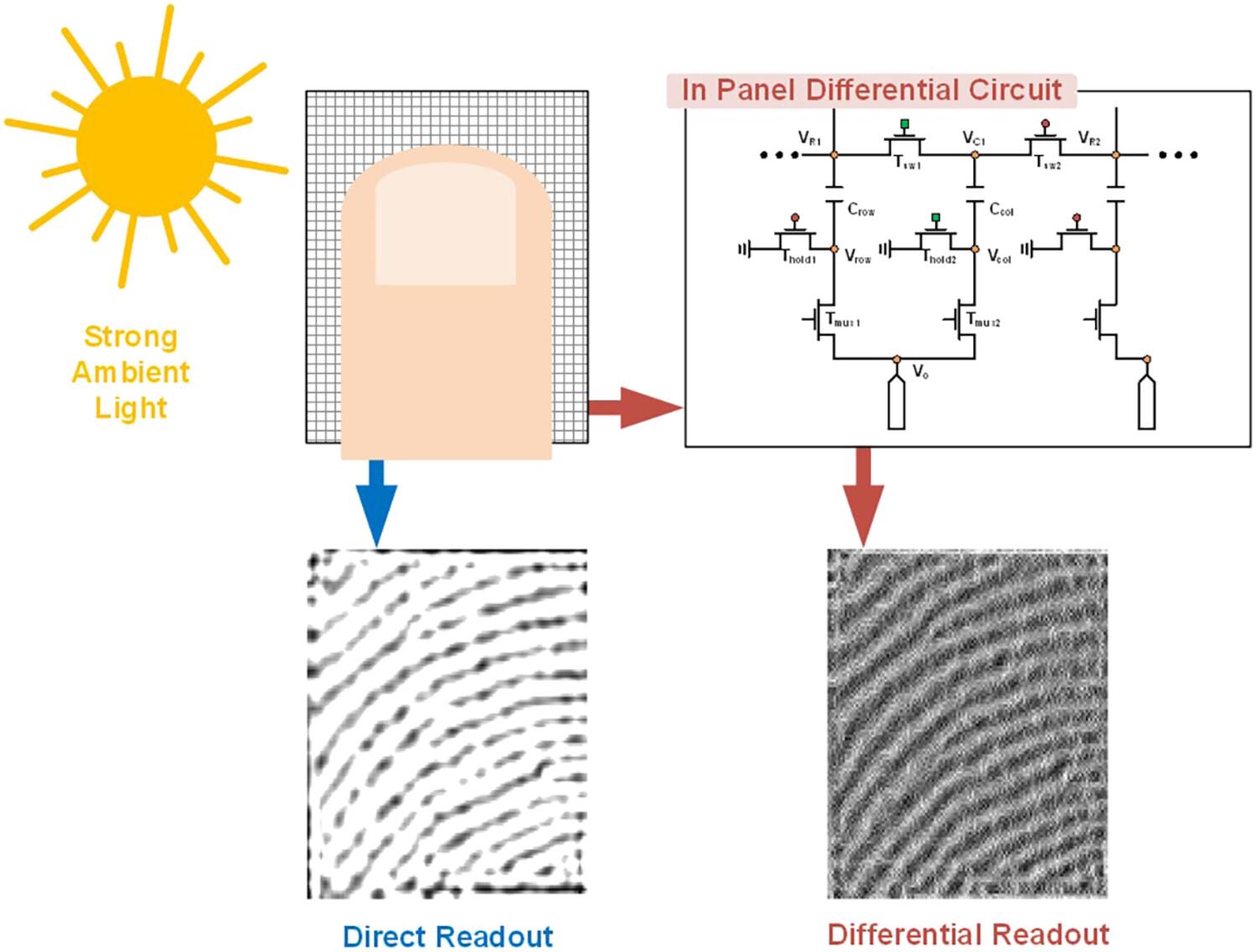 In-panel ambient light eliminating differential circuit applied to active pixel fingerprint sensor