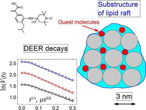Spatial Arrangement of the Drug Ibuprofen in a Model Membrane in the Presence of Lipid Rafts