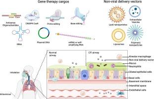 A new era of targeting cystic fibrosis with non-viral delivery of genomic medicines