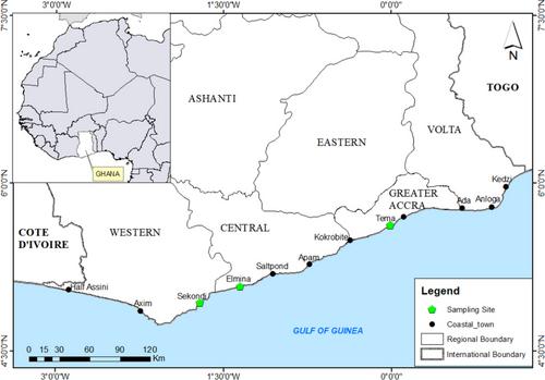 Stock assessment and reproductive biology of bluespotted seabream Pagrus caeruleostictus (family: Sparidae)