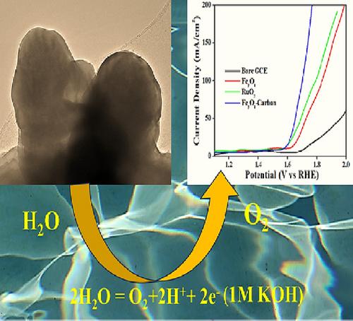 Fabrication of Highly Porous and Sheet Like Fe3O4-Carbon Nanocomposites: A Versatile Catalyst for Electrocatalytic Oxygen Evolution Reactions