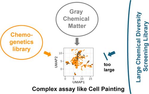 Enhancing the Small-Scale Screenable Biological Space beyond Known Chemogenomics Libraries with Gray Chemical Matter─Compounds with Novel Mechanisms from High-Throughput Screening Profiles