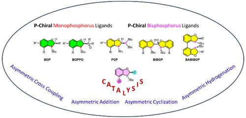 Catalysis and Synthesis Enabled by P-Chiral Dihydrobenzooxaphosphole Ligands