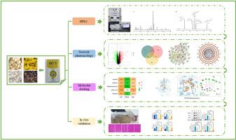 Mechanism of Xing 9 ling tablet candy for alcoholic liver disease based on network pharmacology