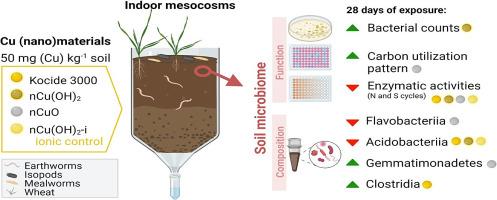 Responses of soil microbiome to copper-based materials (nano and bulk) for agricultural applications: An indoor-mesocosm experiment