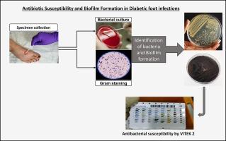 Diabetes-related lower limb wounds: Antibiotic susceptibility pattern and biofilm formation