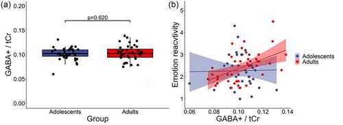 The influence of anterior cingulate GABA+ and glutamate on emotion regulation and reactivity in adolescents and adults