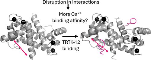 Deciphering S100B Allosteric Signaling: The Role of a Peptide Target, TRTK-12, as an Ensemble Modulator