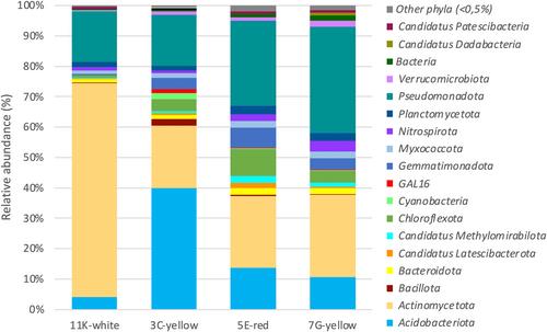 Microbiological exploration of the Cueva del Viento lava tube system in Tenerife, Canary Islands