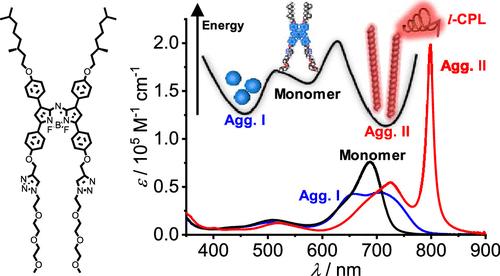 Supramolecular Chiral J-Aggregates of an Amphiphilic Boron-Azadipyrromethene Dye: Kinetic Pathway and Circularly Polarized Near-Infrared Luminescence