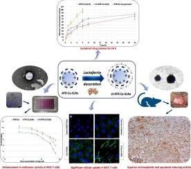 A drug repurposing approach of Atorvastatin calcium for its antiproliferative activity for effective treatment of breast cancer: In vitro and in vivo assessment