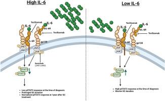 Impaired IL-6-induced JAK-STAT signaling in CD4+ T cells associates with longer treatment duration in giant cell arteritis