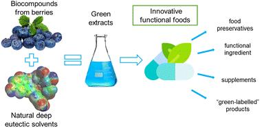 Potential application of green extracts rich in phenolics for innovative functional foods: natural deep eutectic solvents as media for isolation of biocompounds from berries†