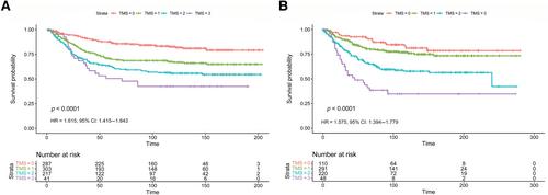 Histopathological tumour microenvironment score independently predicts outcome in primary operable colorectal cancer