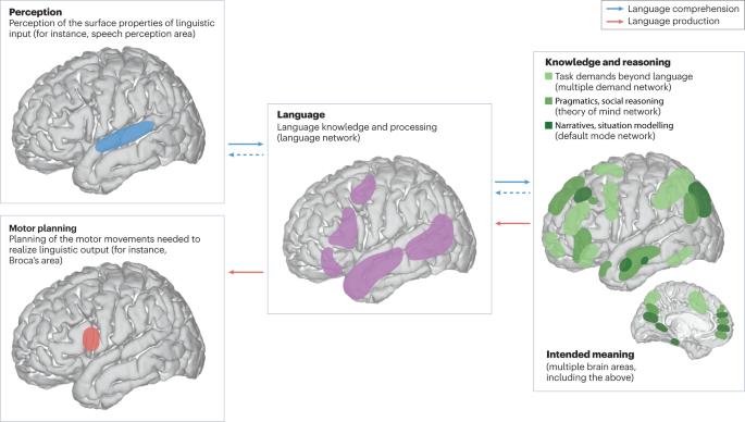 The language network as a natural kind within the broader landscape of the human brain