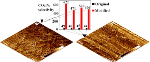 Resembling Graphene/Polymer Aerogel Morphology for Advancing the CO2/N2 Selectivity of the Postcombustion CO2 Capture Process