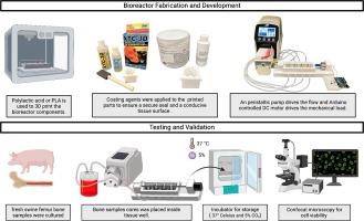 EnduroBone: A 3D printed bioreactor for extended bone tissue culture