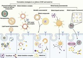 Nanomedicine-based disulfiram and metal ion co-delivery strategies for cancer treatment