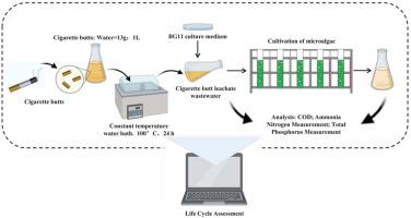 Cultivation of Chlorella protothecoides in the medium amended with cigarette butt leachate wastewater for enhanced biomass and macromolecular productions